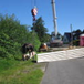 Album anzeigen